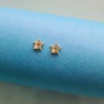 Sparkling Star Earring