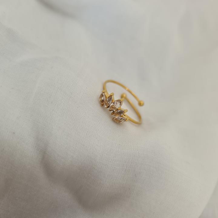 anti-tarnish ring_21