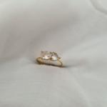 anti-tarnish ring_31